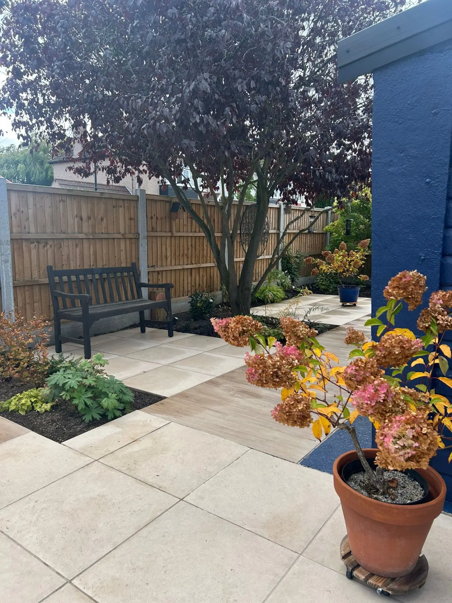 Cream porcelain paving path and patio with a bench, ornamental tree and planted borders