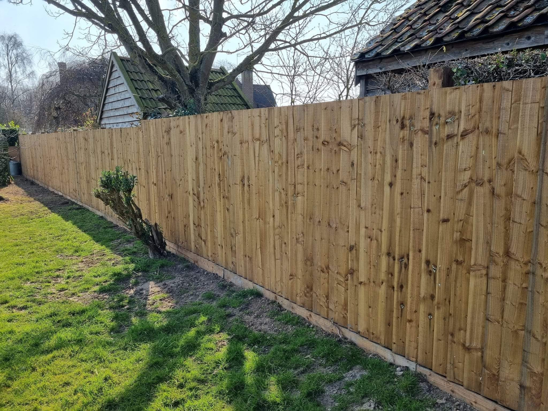 Close view of vertical timber feather-edge boards on a finished garden fence